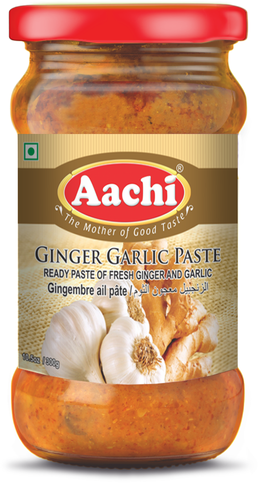 Aachi Ginger & Garlic Paste BTM International